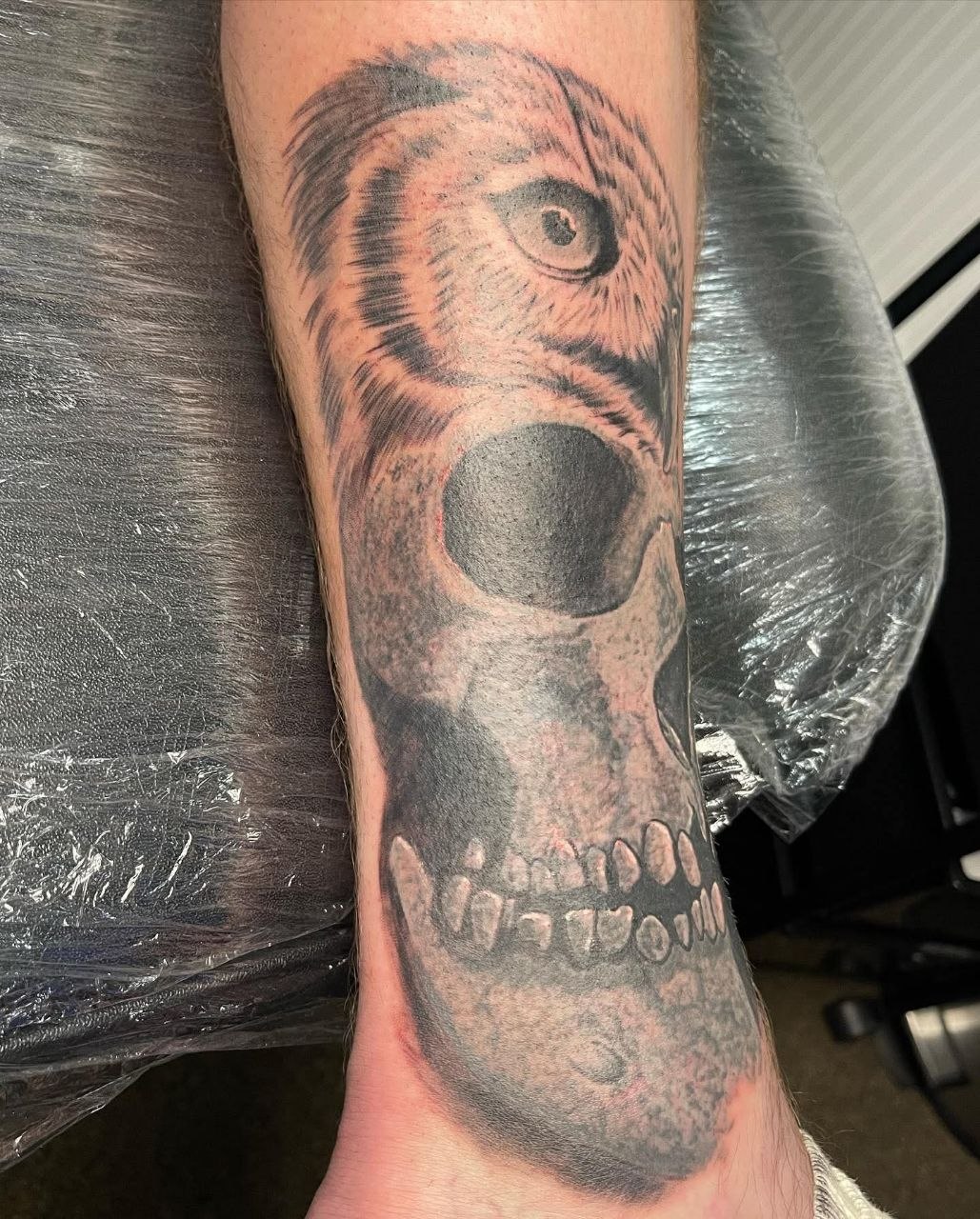 Owl and skull black and grey — angle 1