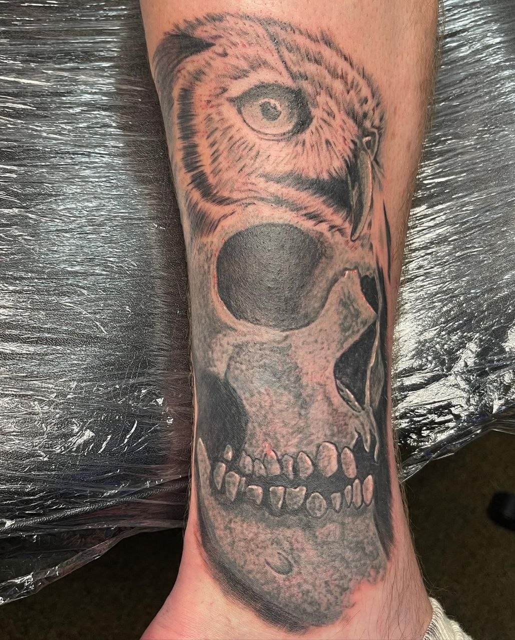 Owl and skull black and grey — angle 2